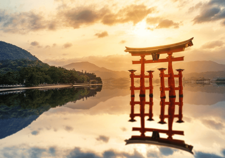 鳥居越しに夕日が差し込む